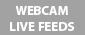 Webcam Live Feed